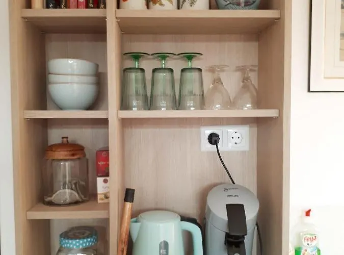 Apartment Tatyana Bonjour *